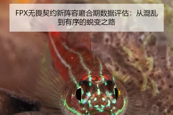 FPX无畏契约新阵容磨合期数据评估：从混乱到有序的蜕变之路