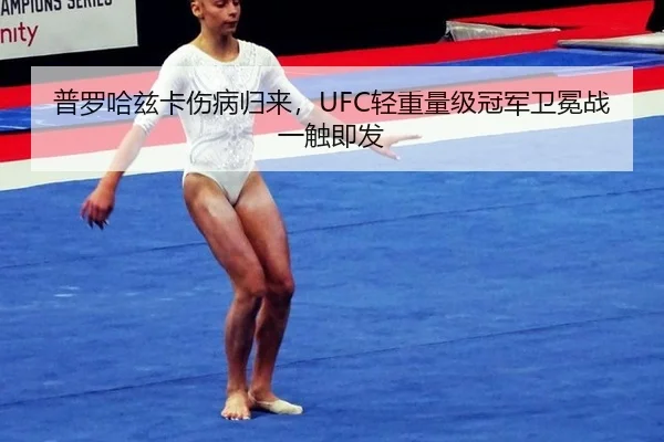 普罗哈兹卡伤病归来，UFC轻重量级冠军卫冕战一触即发