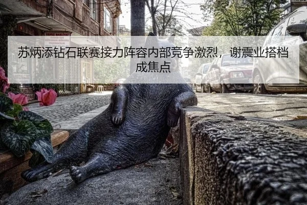 su-bing-tian-zuan-shi-lian-sai-jie-li-zhen-rong-nei-bu-jing-zheng-ji-lie-xie-zhen-ye-da-dang-cheng-jiao-dian-3-466.jpg