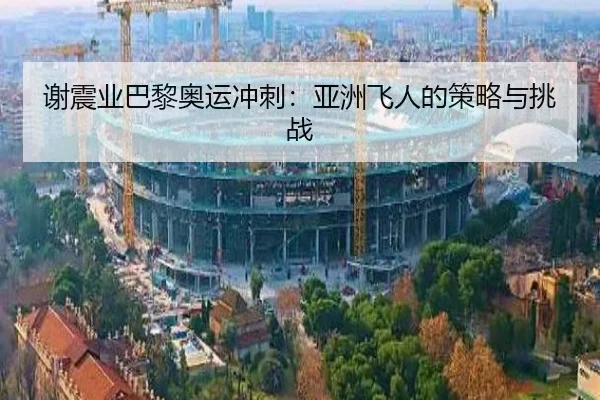 xie-zhen-ye-ba-li-ao-yun-chong-ci-ya-zhou-fei-ren-de-ce-lve-yu-tiao-zhan-2-322.jpg