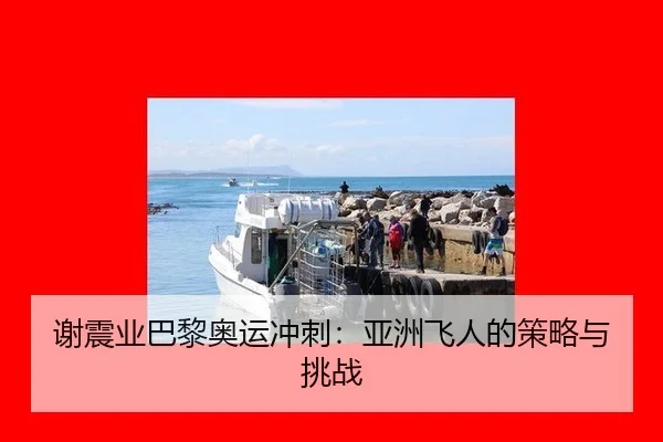谢震业巴黎奥运冲刺：亚洲飞人的策略与挑战