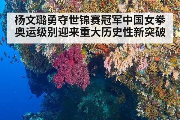 杨文璐勇夺世锦赛冠军中国女拳奥运级别迎来重大历史性新突破